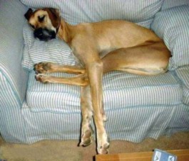 plein temps libre